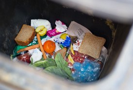 Lebensmittelverschwendung: 52 Prozent der Deutschen werfen weniger Essen weg